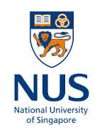 National University of Singapore