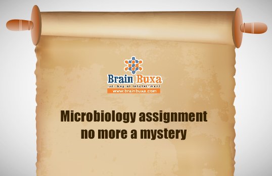 Microbiology assignment no more a mystery