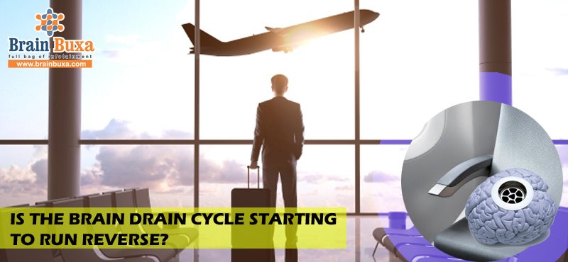 Is the brain drain cycle starting to run reverse?