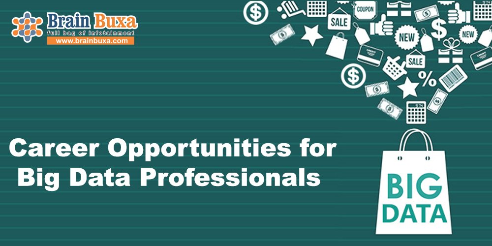 Career Opportunities for Big Data Professionals