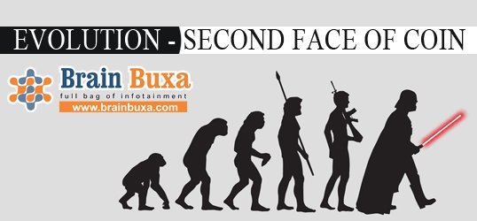 Evolution - second face of coin