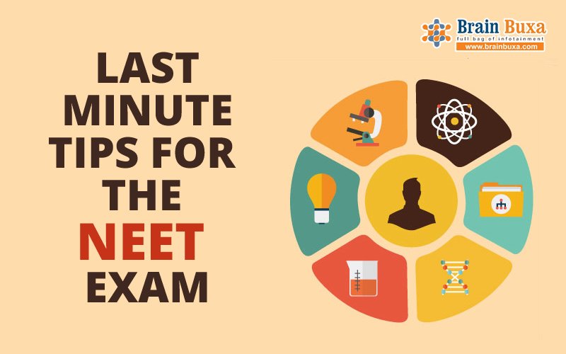 Last minute tips for the NEET exam