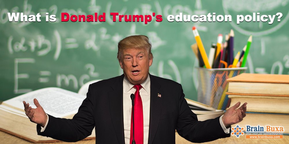 What is Donald Trump's education policy?