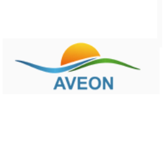 Aveon Infotech Private Limited