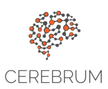 Cerebrum