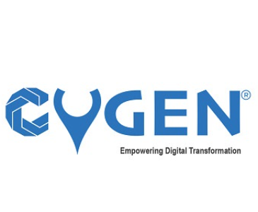 cygen it consulting and software solutions private limited