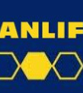 Manlift India Private Limited