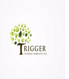 Trigger Consultancy Services Private Limited