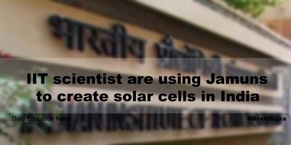 IIT scientist are using Jamuns to create solar cells in India