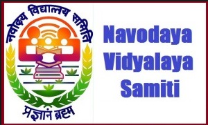 Image of Interview schedule for NVS TGT exam released | Education News Photo