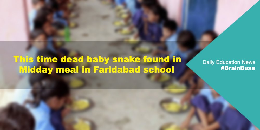 This time dead baby snake found in Midday meal in Faridabad school